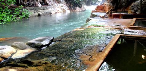 那須塩原 日帰り温泉 安い - 温泉と地元グルメの意外な関係性