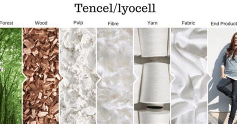 TENCEL™ Fasern: Innovative Textilrohstoffe für die Zukunft der Modeindustrie!